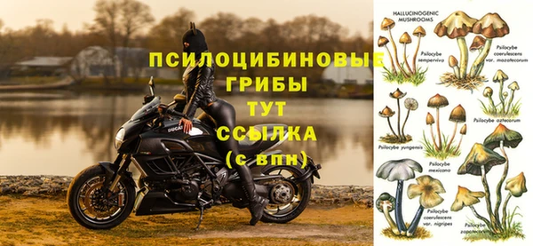 mdpv Вязьма