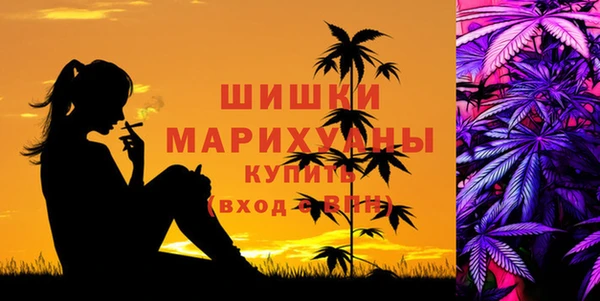 тгк Сосновка